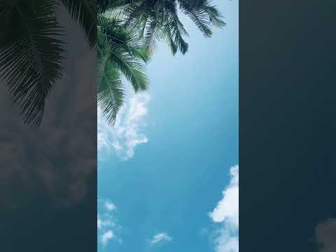 Not Ai #adventure #travel #trip #beach #scenery