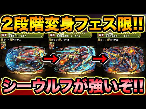 【新フェス限】紅戦帝シーウルフ！２段階変身で全パラ2.8倍+軽減！ダイの大冒険配布キャラも！【スー☆パズドラ】