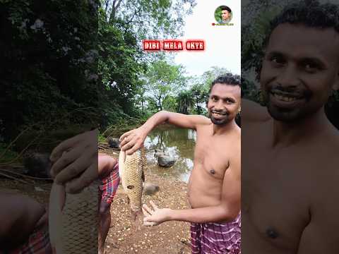 Haku  Goc|Dumka disom Dibi Mela|#santalivlog #newsantalivideo2025 #minivlog #villagevlog #shorts