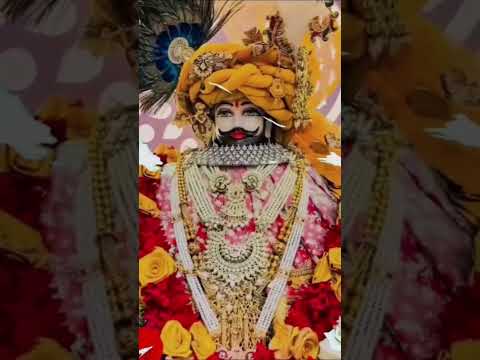 jagat ka Malik khatu syam #song #sorts #khatushyam