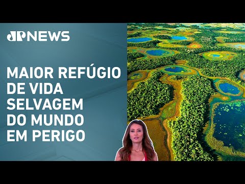 Pantanal pode entrar na lista da Unesco de patrimônios ameaçados; Patrícia Costa analisa