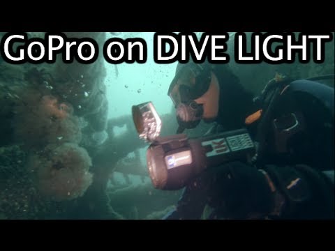 GoPro Mount On Dive Light & Some Action! GoPro Tip #250 - UCTs-d2DgyuJVRICivxe2Ktg