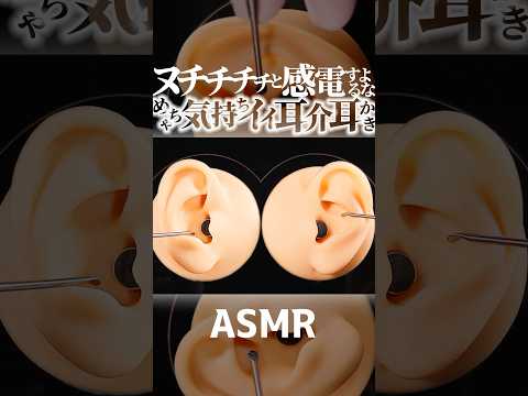 【ASMR】何故かよわよわなスタンガンみたいな音がするメチャ気持ちイイ耳介耳かきの音👂耳がヌチチチと微弱に感電しそうな音フェチ🥰ここでしか聞けないゾクゾクする特殊な耳掃除😂🤤睡眠導入😪 #shorts