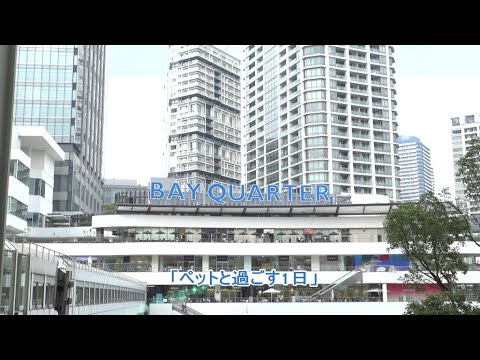 ペットと過ごす1日｜横浜ベイクォーター公式（BAY QUARTER YOKOHAMA OFFICIAL）