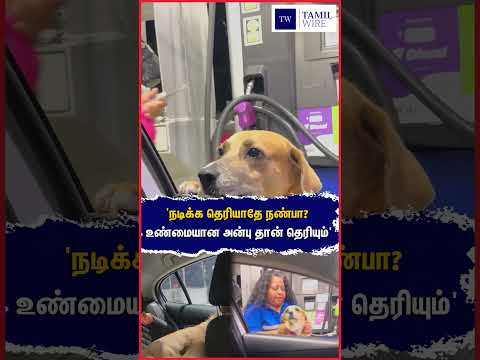 'நடிக்க தெரியாதே நண்பா? உண்மையான அன்பு தான் தெரியும்' #Dog #Dogs #DogLife #doglovers #DogLove #Pets