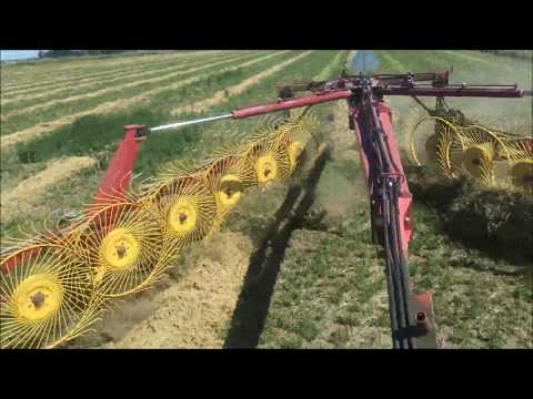Haying time and the usual