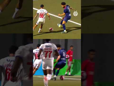 image para ilustrar o artigo