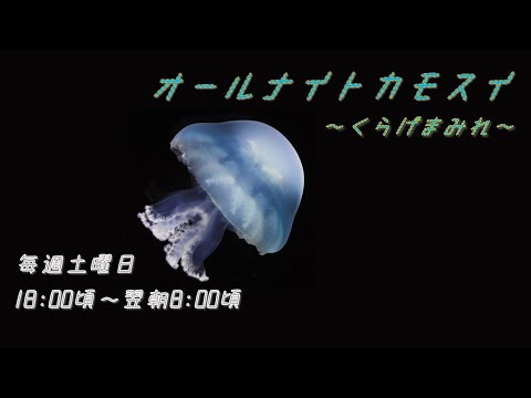 猫の動画サムネイル - オールナイトカモスイ　～くらげまみれ～ #208　ブルーキャノンボール