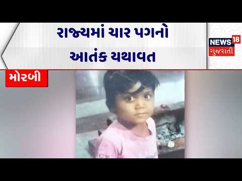 Stray cattle Attack News | રાજ્યમાં ચાર પગનો આતંક યથાવત | Gujarat | Junagadh | News18 Gujarati