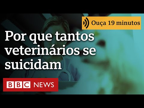 A crise de saúde mental que leva tantos veterinários ao suicídio: 'Acham que somos São Francisco'