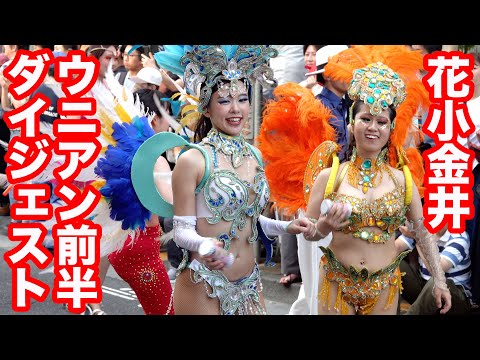 【速報】虹色姫が新衣装で登場!花小金井サンバ 2025♡ウニアン1回目のスタートから会場内まで! 女子大生のサンバ! ウニアン2025