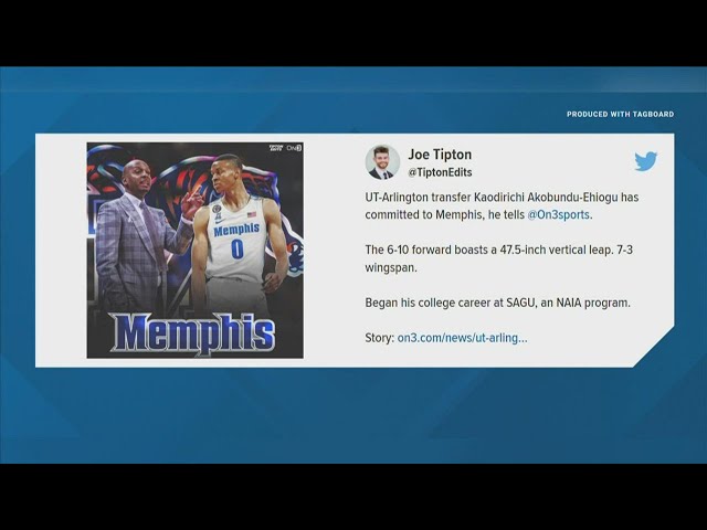 The Memphis Tigers Baseball Team is a Must-See