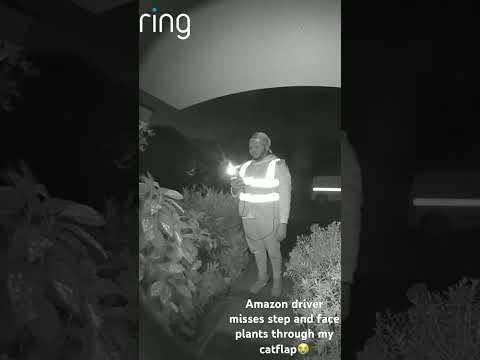 Amazon driver misses step and face plants through my cat flap￼￼