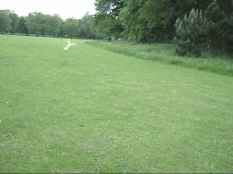 Cierva C30 prototipe video#2 - UCtpl0iFEzsrT9BW4ig-WBQA