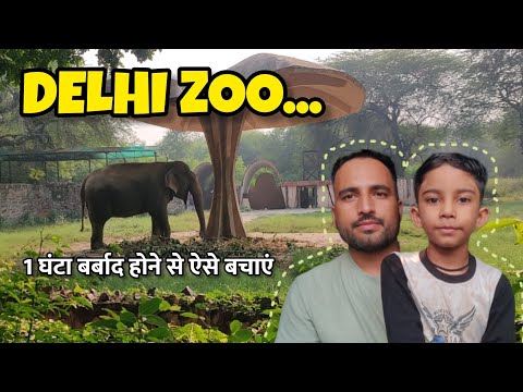 Delhi Zoo Vlog - काम की जानकारी - Pahadi Bhula