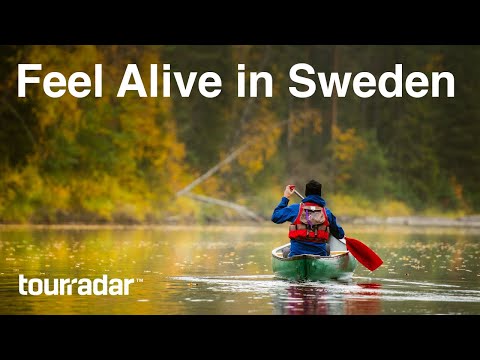 Feel Alive in Sweden