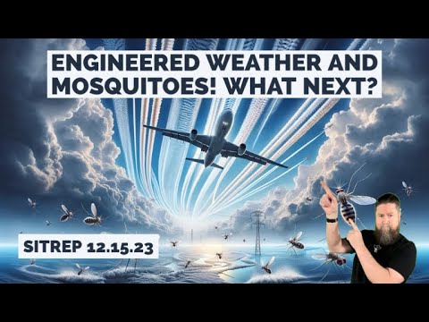 Engineered Mosquitoes and Weather, What Next? SITREP 12.15.23