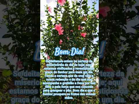 Bom dia com a direção do Senhor. #bomdia #mensagensdivinas #jesus #bomdiaamor #fe #motivacional#amor