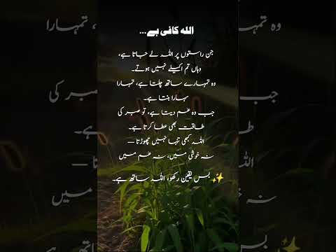 #quotes #poetry #motivation #aqwalezareen #4line #love #shorts