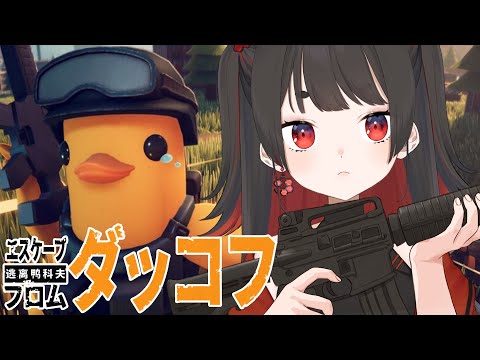 thumbnail_Cd7_YkUg5jg