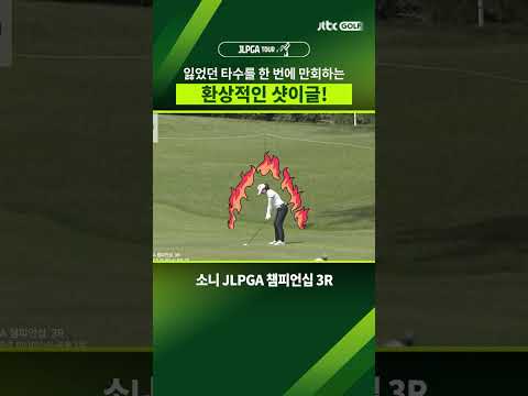 홀컵이 공을 빨아들인 듯..?ㅋㅋㅋ #shorts