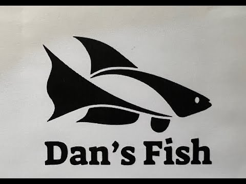 Dan's Fish Unboxing. #DansFish  #Melanotaenia prae Sorry for the Shaking.  #DansFish  #Melanotaenia praecox  #Neon Dwarf Rainbowfish
