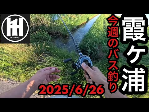 バス釣り今週の霞ヶ浦！霞ファンフェスタの余韻が無くなる前に‥2025年6月26日