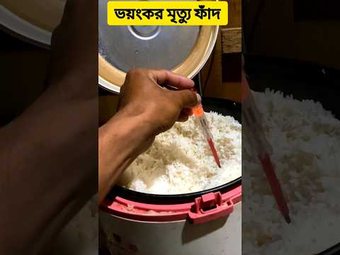 ভয়ংকর মৃত্যু ফাঁদ #Electricstove #Currentstove #Ricecooker #Bodyshotstove #viral