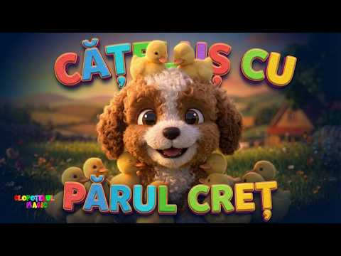 Cățeluș cu părul creț - Clopoțelul Magic - cântece și desene pentru copii