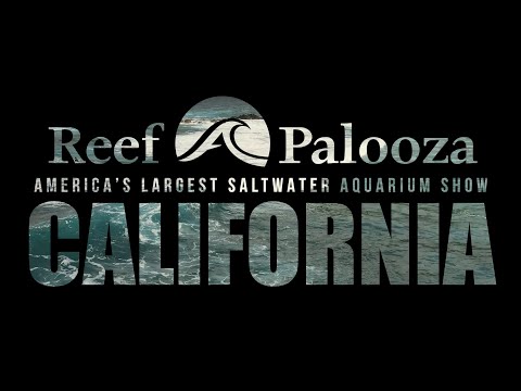 Reef-A-Palooza California 2022 Teaser Come celebrate Reef-A-Palooza California, August 13-14, 2022, at the beautiful Hilton Anaheim. 

Ree