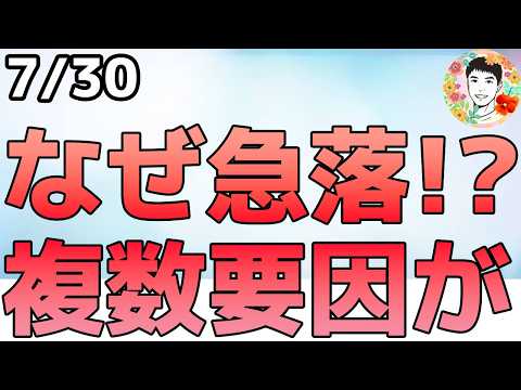 米株市場が急落！ナスダックが調整入りしました！【7/30 米国株ニュース】