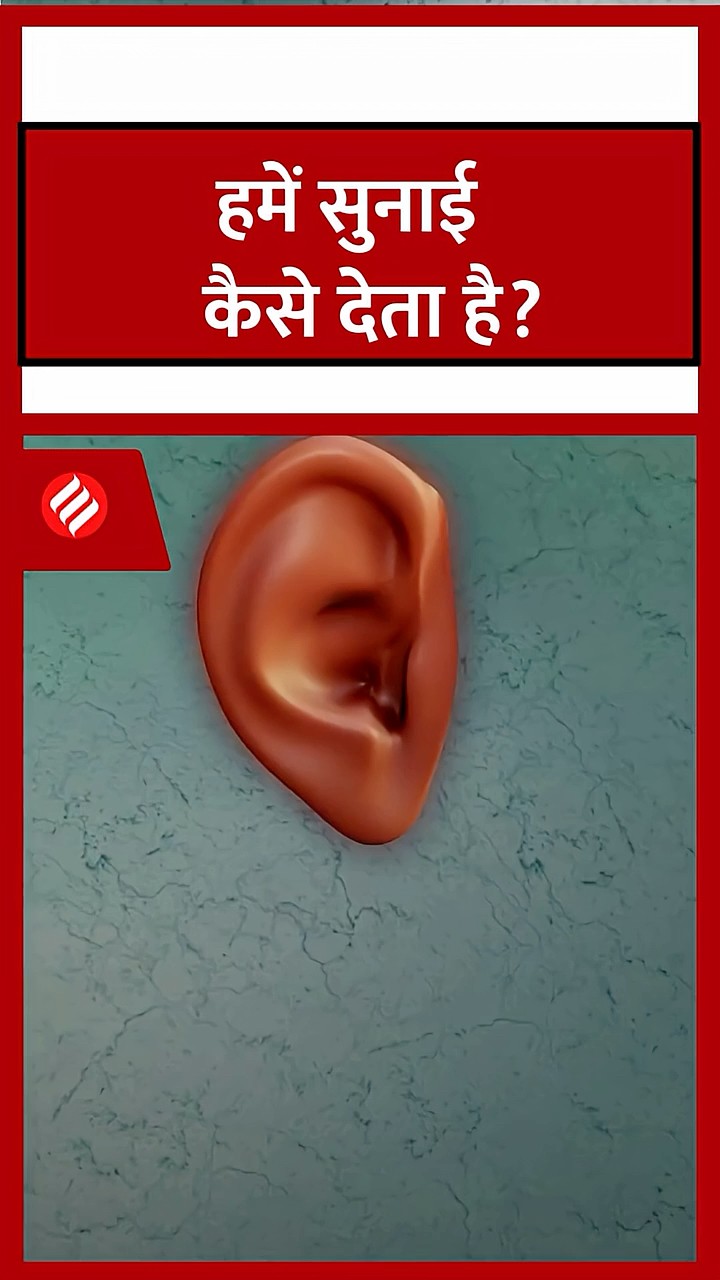 हमें सुनाई कैसे देता है? #ExplainingTheHumanBody #hearing #ears #dw #dwhindi #shorts