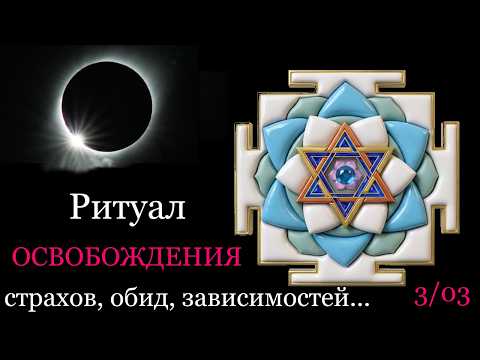 ЛУННОЕ ЗАТМЕНИЕ 🌓 Взлом Кармического Кода. Как создать «Нектар Бессмертия» из этой Тени?
