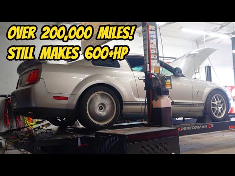 Rare Find: 2008 Shelby GT500 with 210K Miles Unveiled by Hoovies Garage