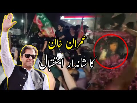 Imran Khan release on Bail