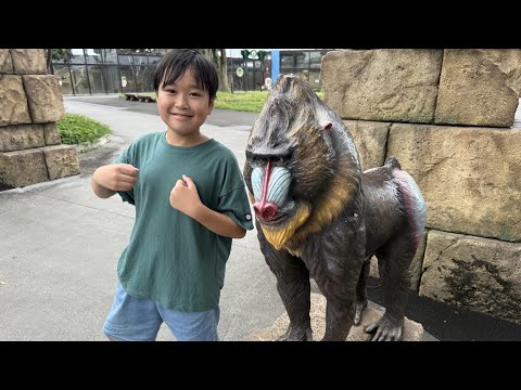 レオくんがおでかけ！東武動物公園！ Part134 トイキッズ