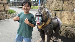 動画サムネイル