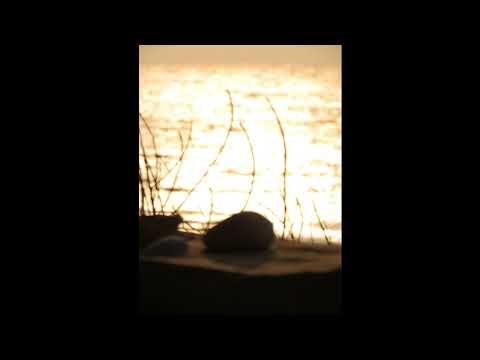 Saav - Niveles infinitos
