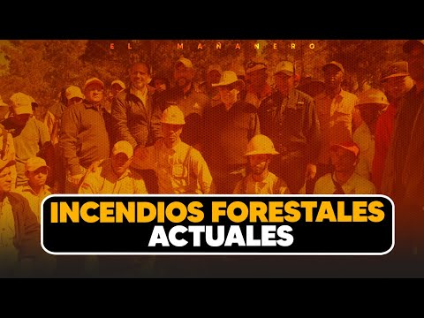 incendios forestales actuales - Geronimo Abreu