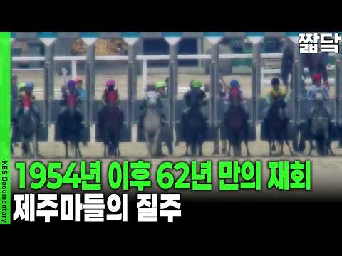 탑승 거부와 12시간의 대장정! 제주마 과천 상륙작전을 위한 특급 수송 작전의 전말 | KBS VJ 특공대 20160826 방송