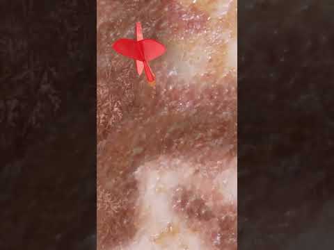 Egg and Arrow. Will it hit? #superzoom #loop #art #infinite #relax #imagine #closeup #transition