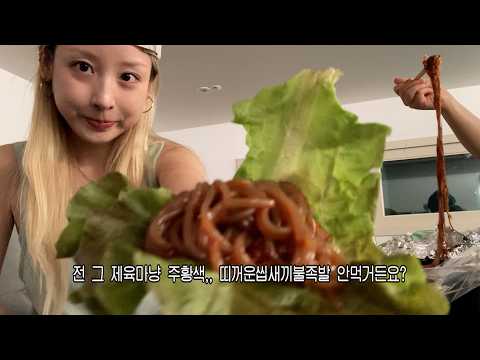 적당하게 적당한 1인가구 여성의 적당한 브이로그