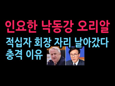 '기회주의' 인요한 낙동강 오리알, <strong>적십자</strong> 회장 자리 날아갔다 충격 이유 (2026.8.26)