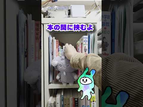 ぬいぐるみを本棚に置きたい人へ