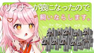 【 Minecraft 】お前たち狼になっちゃったの？【 百瀬こいろ 】