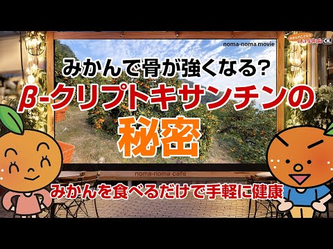 【みかんで骨が強くなる？】栄養成分「β-クリプトキサンチン」の秘密【みかんのことなら「のま果樹園」】