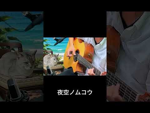 夜空ノムコウ