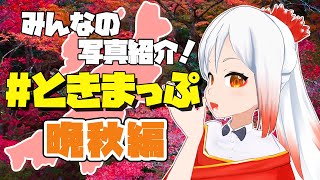 【重大発表アリ】#ときまっぷ みんなのおでかけ写真を紹介ッ📸あっという間に晩秋🍂編🍁【越後屋ときな🌾勝手に新潟宣伝大使/Vtuber】