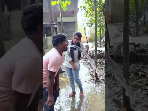 New funny videos 🤣🤣 #shorts #funny #shortsfeed #trending