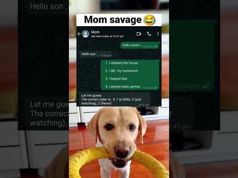 #memes #story #dog #shorts #pets